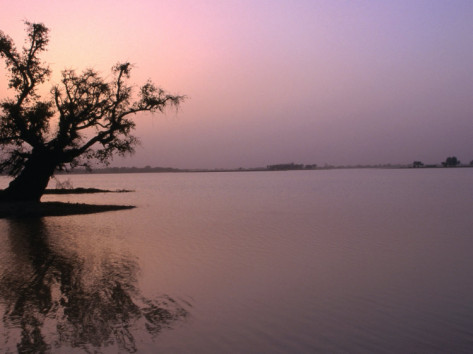 Lake Chad in Niger - Africa