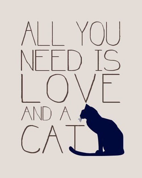 all you need is love and a cat quote