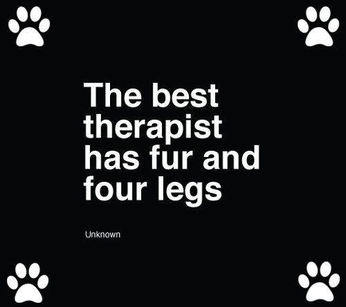 the best therapist has fur and four legs